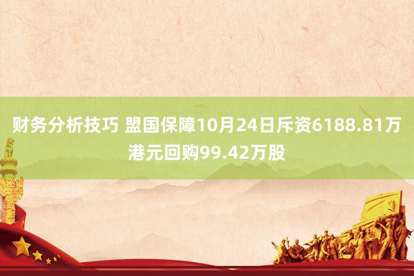 财务分析技巧 盟国保障10月24日斥资6188.81万港元回购99.42万股