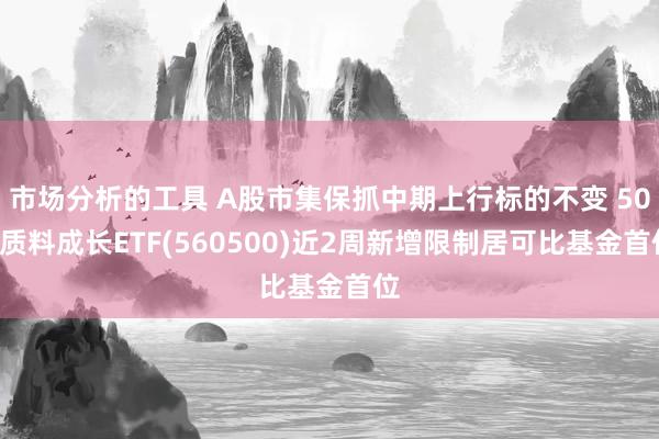 市场分析的工具 A股市集保抓中期上行标的不变 500质料成长ETF(560500)近2周新增限制居可比基金首位