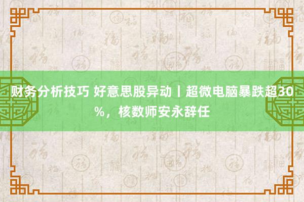 财务分析技巧 好意思股异动丨超微电脑暴跌超30%，核数师安永辞任