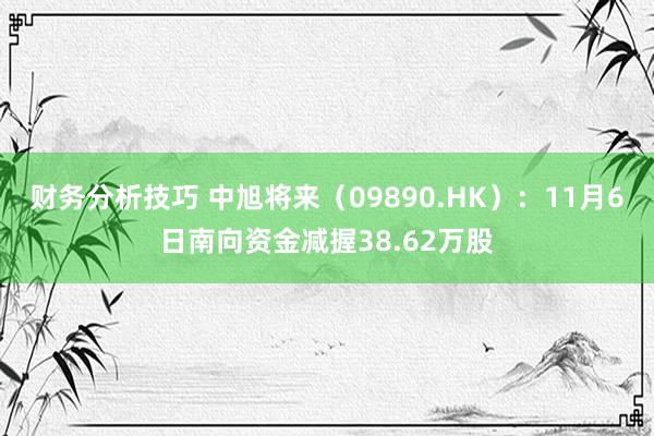 财务分析技巧 中旭将来（09890.HK）：11月6日南向资金减握38.62万股