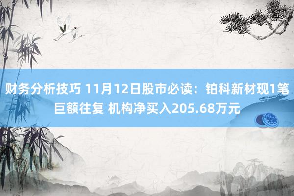 财务分析技巧 11月12日股市必读：铂科新材现1笔巨额往复 机构净买入205.68万元