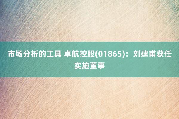 市场分析的工具 卓航控股(01865)：刘建甫获任实施董事