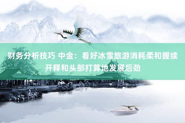 财务分析技巧 中金：看好冰雪旅游消耗柔和握续开释和头部打算地发展后劲