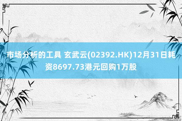 市场分析的工具 玄武云(02392.HK)12月31日耗资8697.73港元回购1万股