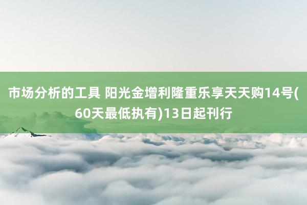 市场分析的工具 阳光金增利隆重乐享天天购14号(60天最低执有)13日起刊行