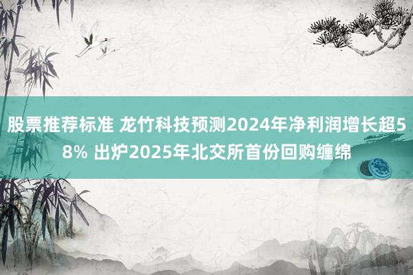 股票推荐标准 龙竹科技预测2024年净利润增长超58% 出炉2025年北交所首份回购缠绵