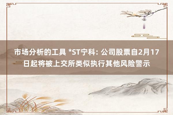 市场分析的工具 *ST宁科: 公司股票自2月17日起将被上交所类似执行其他风险警示