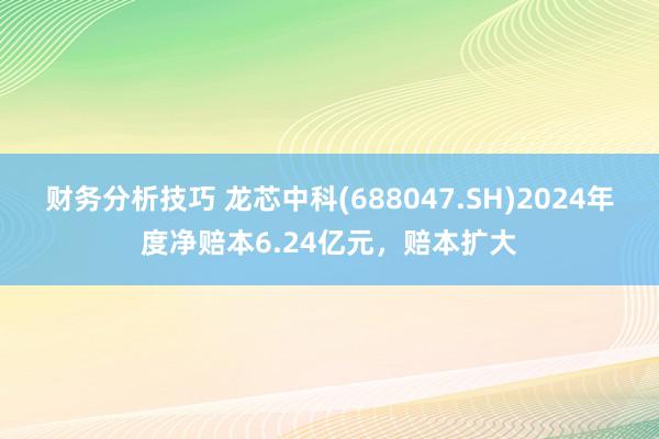 财务分析技巧 龙芯中科(688047.SH)2024年度净赔本6.24亿元，赔本扩大