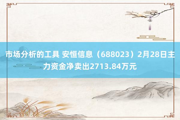 市场分析的工具 安恒信息（688023）2月28日主力资金净卖出2713.84万元