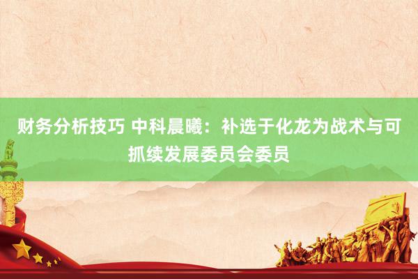 财务分析技巧 中科晨曦：补选于化龙为战术与可抓续发展委员会委员