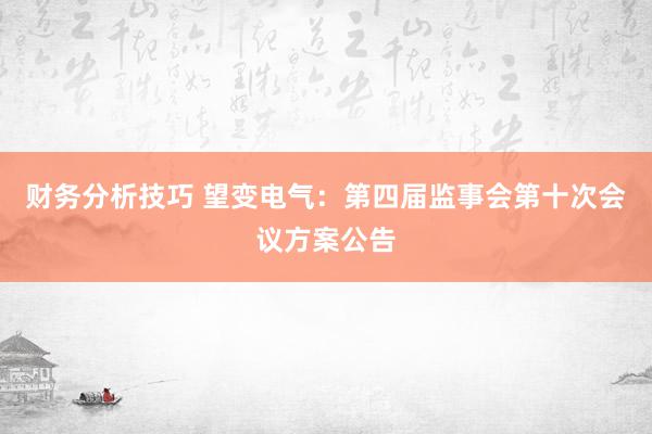 财务分析技巧 望变电气：第四届监事会第十次会议方案公告