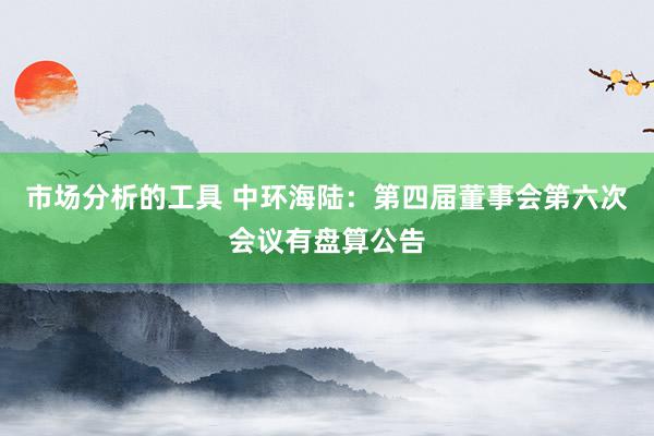 市场分析的工具 中环海陆：第四届董事会第六次会议有盘算公告