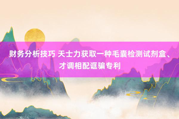 财务分析技巧 天士力获取一种毛囊检测试剂盒、才调相配诓骗专利